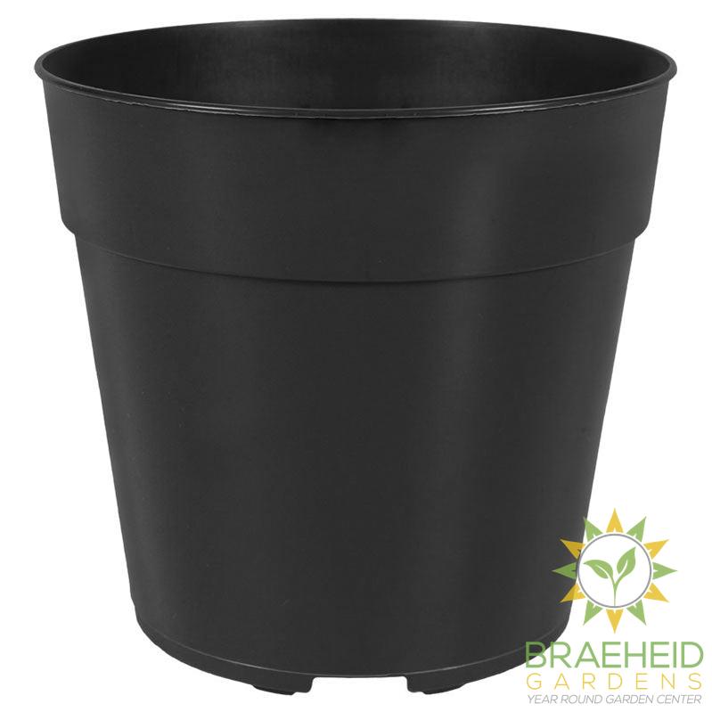 HC 5" KORD STD REGAL GRN 500/CV