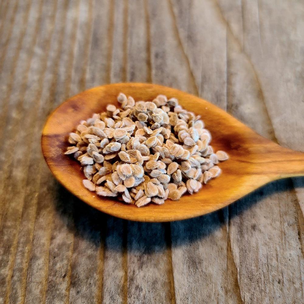 Pompeii Sauce Tomato