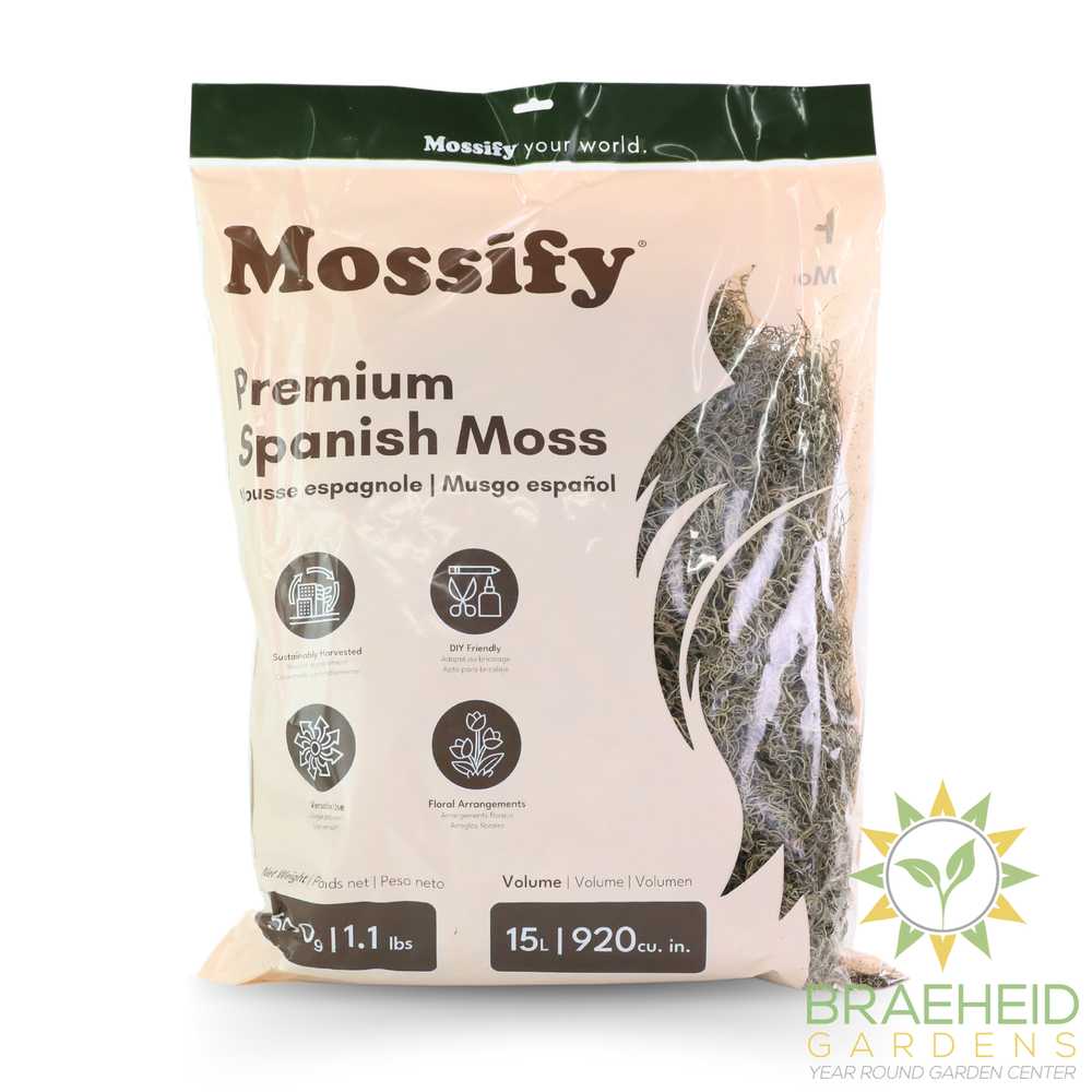 Premium Spanish Moss
