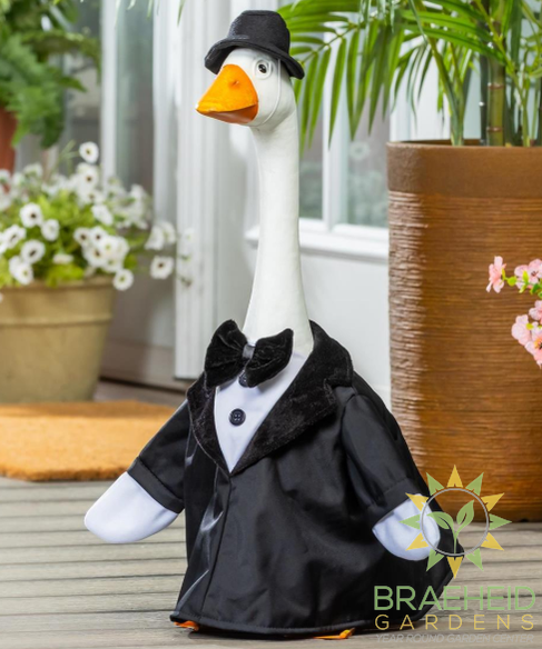Giddy the Goose-Groom Outfit