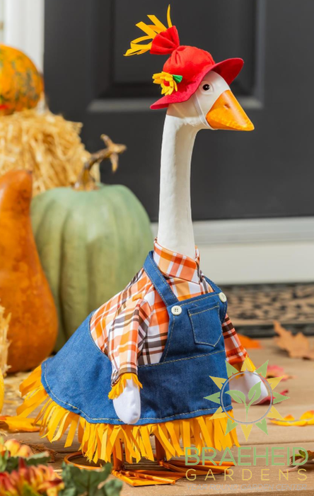 Giddy the Goose-Scarecrow Outfit