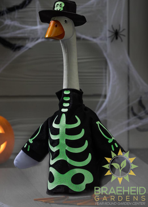 Giddy the Goose-Skeleton Glow in Dark Outfit
