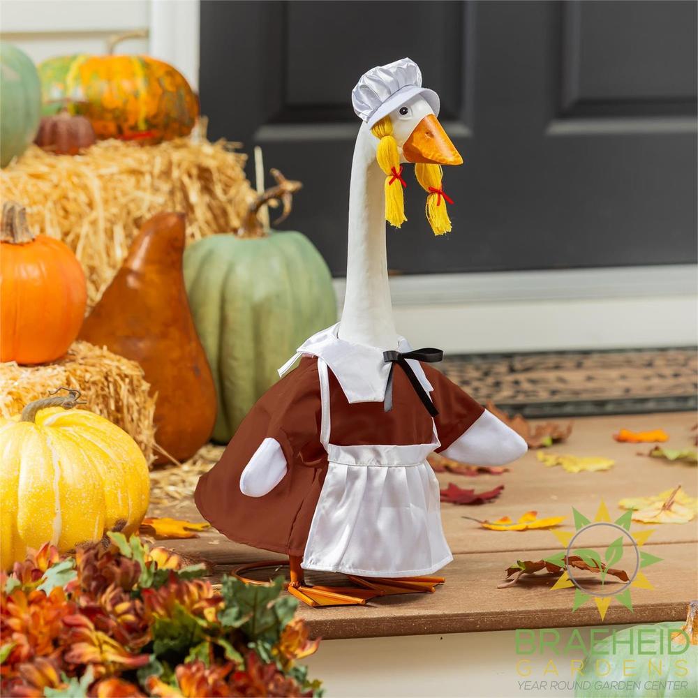 Giddy the Goose-Harvest Pilgrim