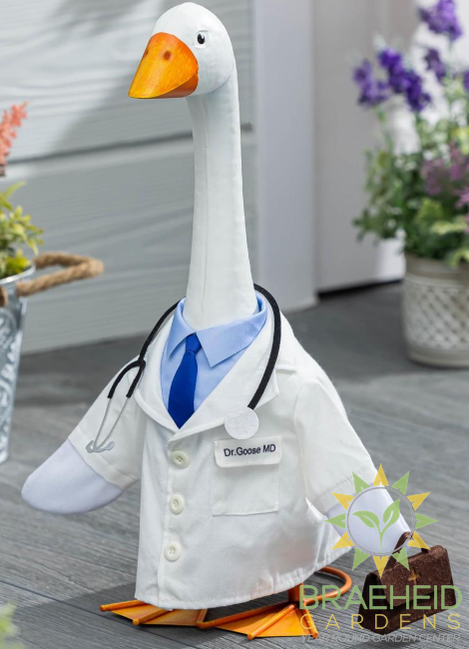 Giddy the Goose-Doctor Outfit