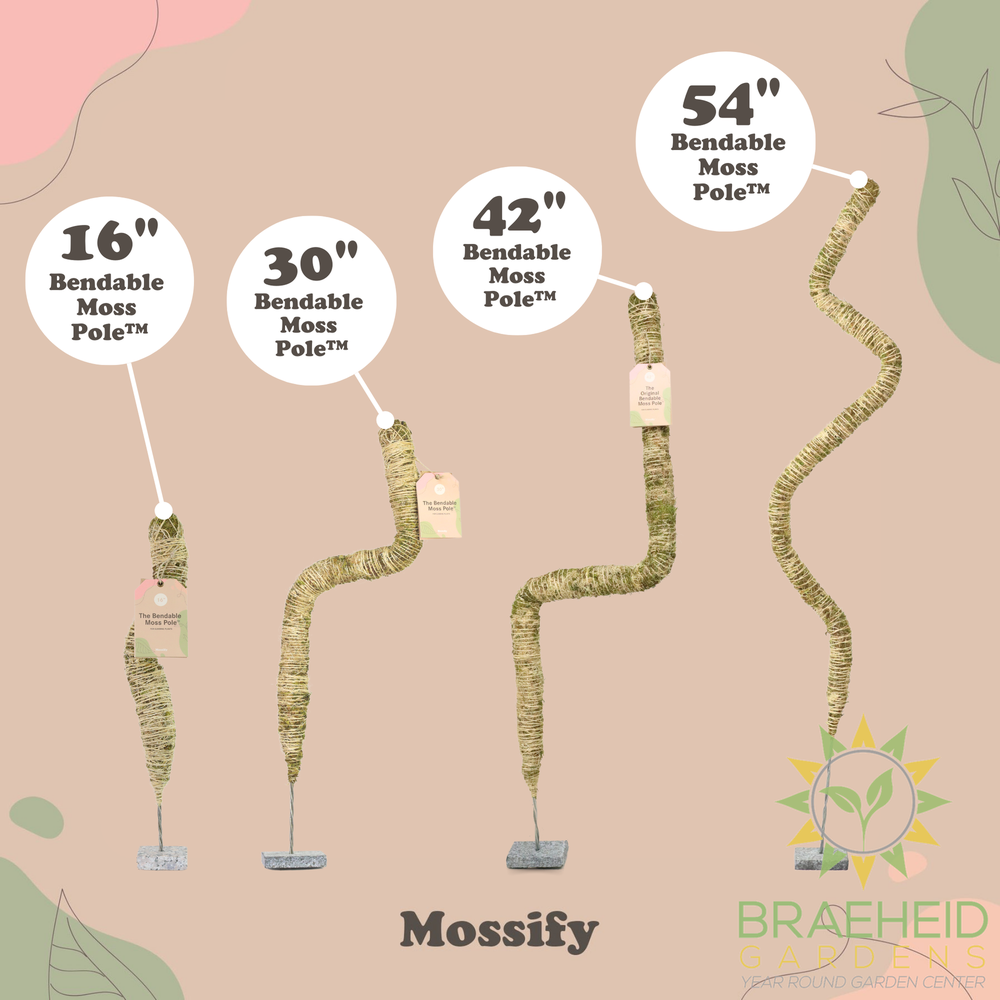 The Original Bendable Moss Pole⢠- Best Seller (Pins Included)