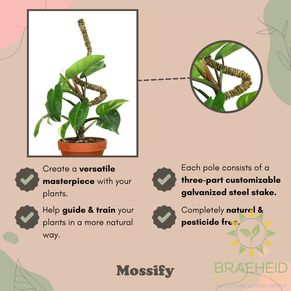 The Bendable Moss Pole™ 𝘛𝘏𝘐𝘕