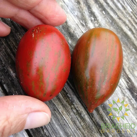 Tiger Pear Tomato