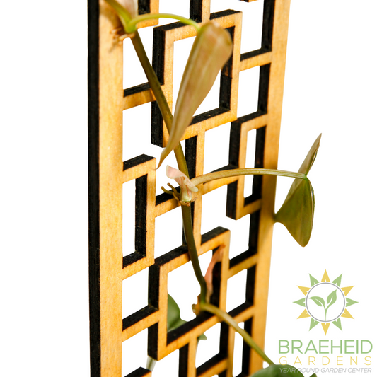 Tropical Squares Wooden Trellis