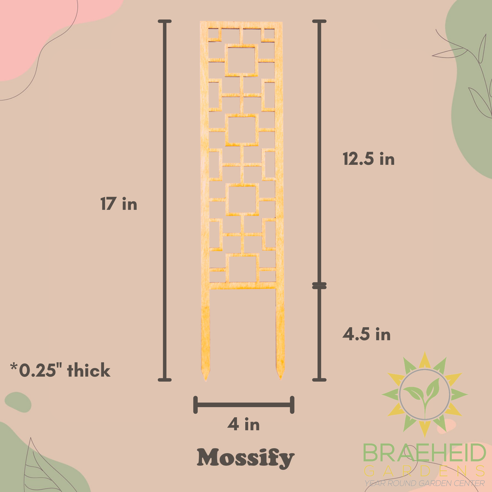 Tropical Squares Wooden Trellis