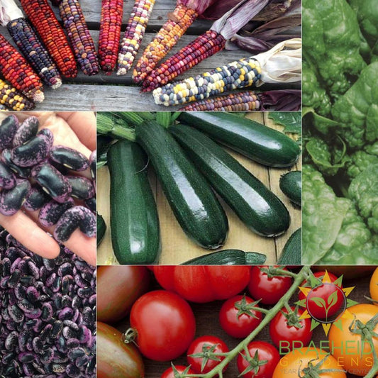 The Veggie Garden Collection