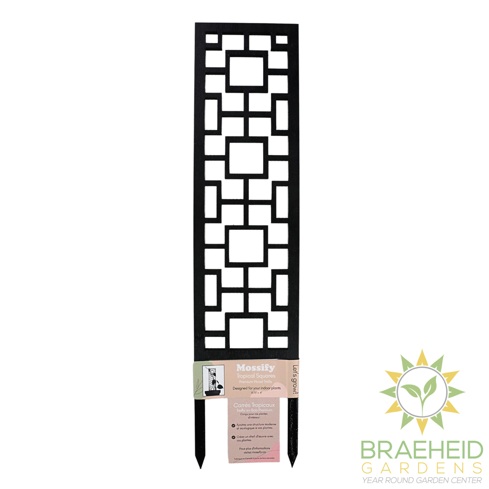 Tropical Squares Wooden Trellis