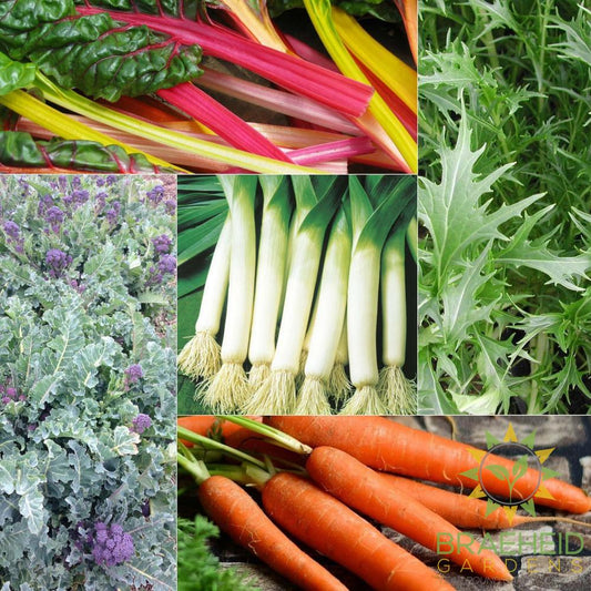 The Winter Harvest Collection