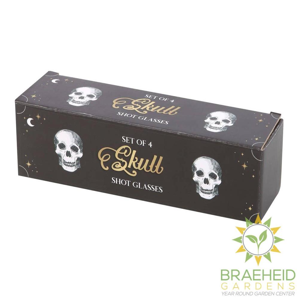 4PC Skull Shot Glass Set
