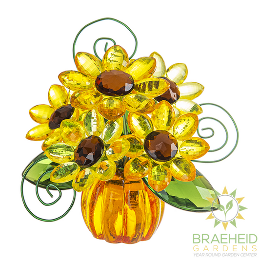Sunflower Pumpkin Posy Pot w/ Celebration Cards