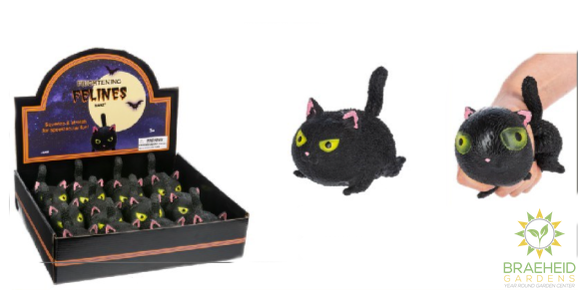 Frightening Felines