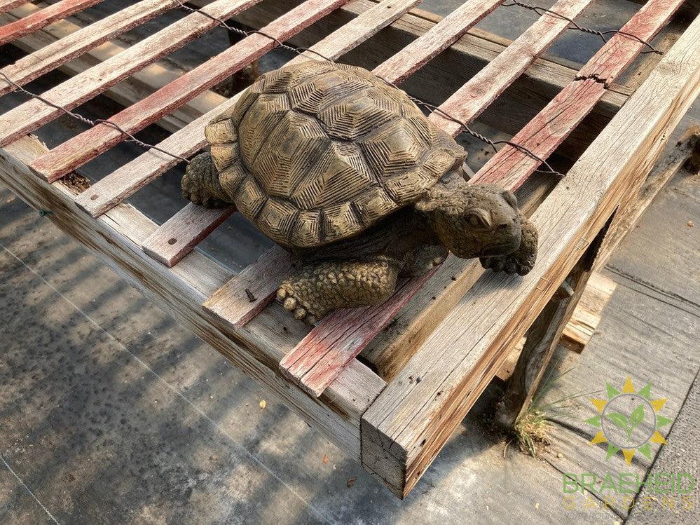 Turtle Garden Ornament - NO SHIP -