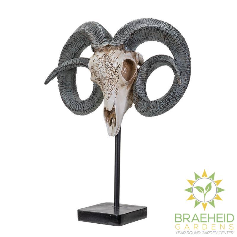 Carved Ram Decorative Skull