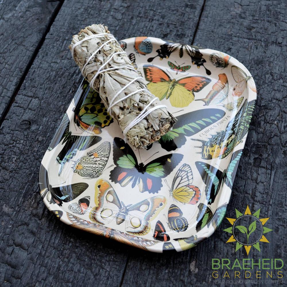 Small Metal Butterfly 1 Tray / Vintage Butterflies Dish