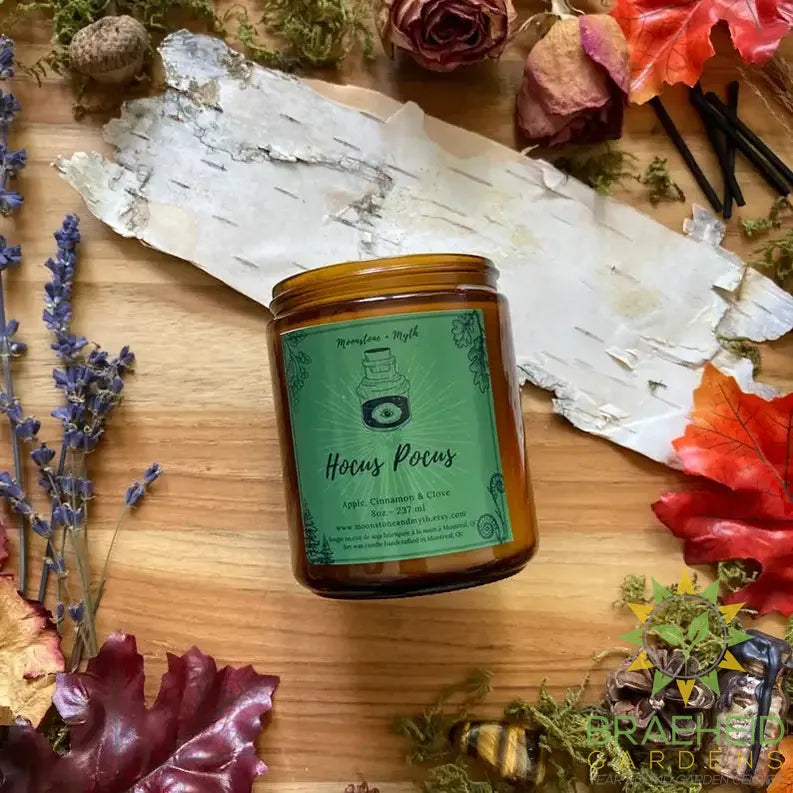 Hocus Pocus, 100% soy wax scented candle