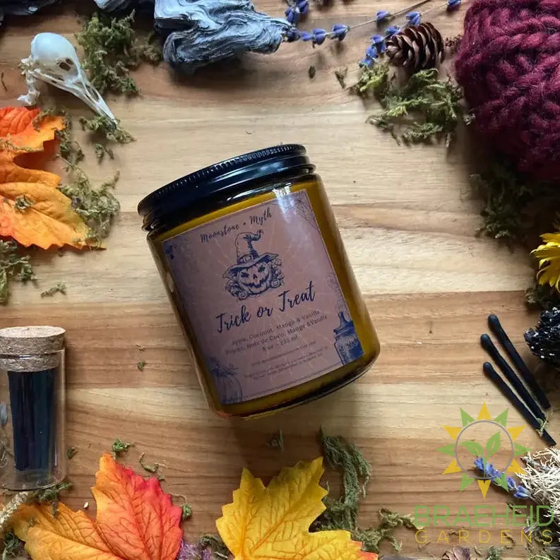 Trick or Treat, 100% soy wax scented candle
