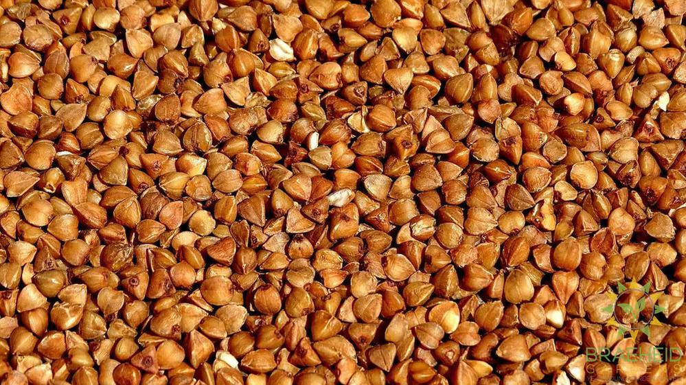 Buckwheat