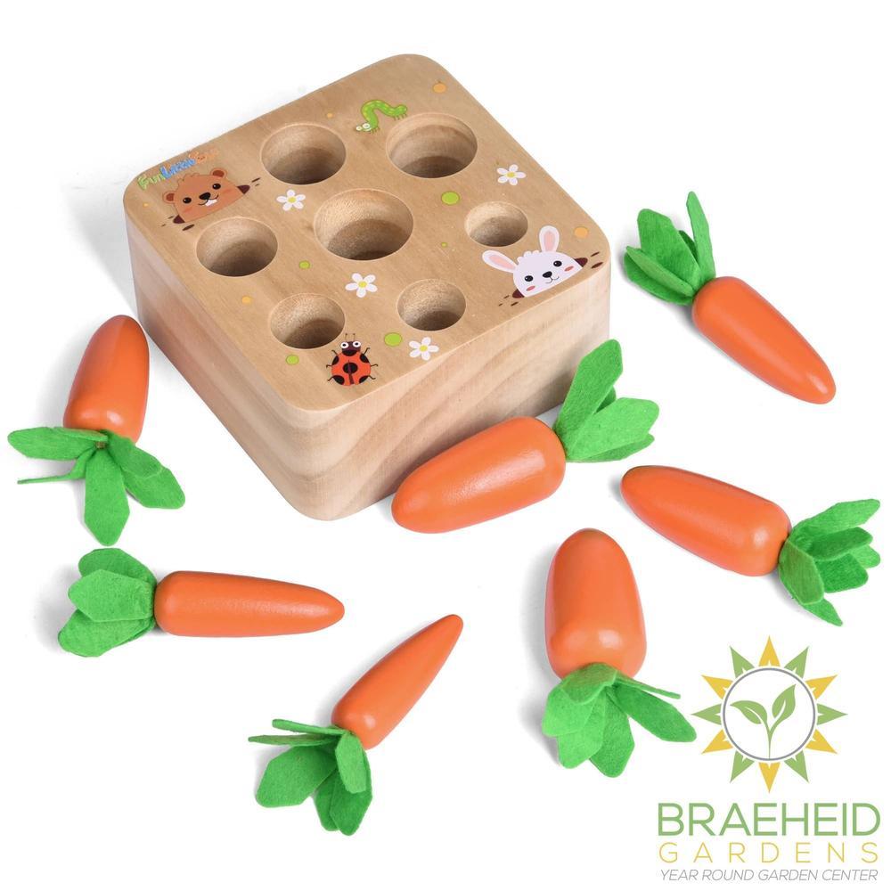 Educational Wooden Toys Carrots Harvest Shape Size Sorting