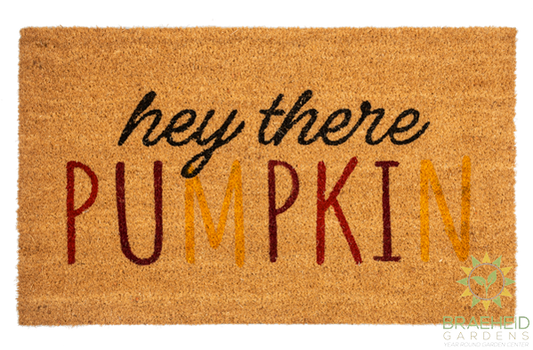 Hey There Pumpkin Doormat - NO SHIP -