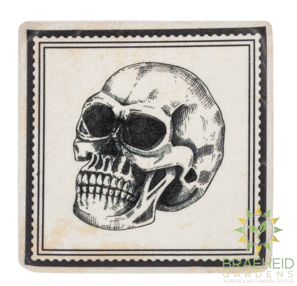 Gothic Halloween Coaster (4 pc. set)