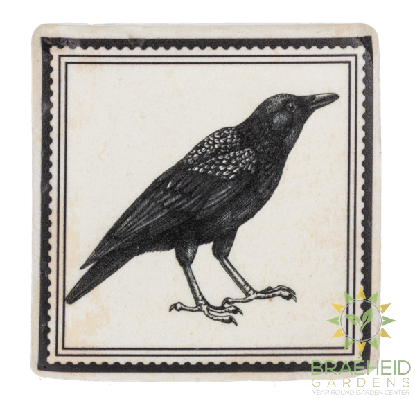 Gothic Halloween Coaster (4 pc. set)