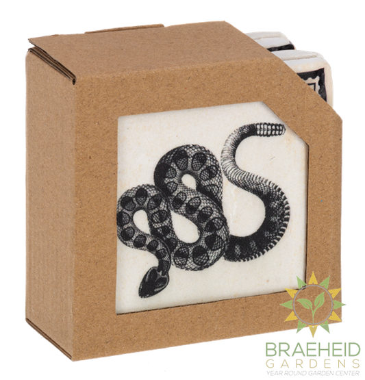 Gothic Halloween Coaster (4 pc. set)