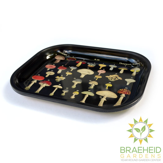 Small Metal Black Mushroom Ritual Tray / Rolling Tray