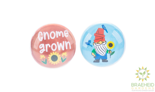 Garden Gnome Magnet