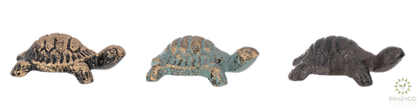 Mini Turtle