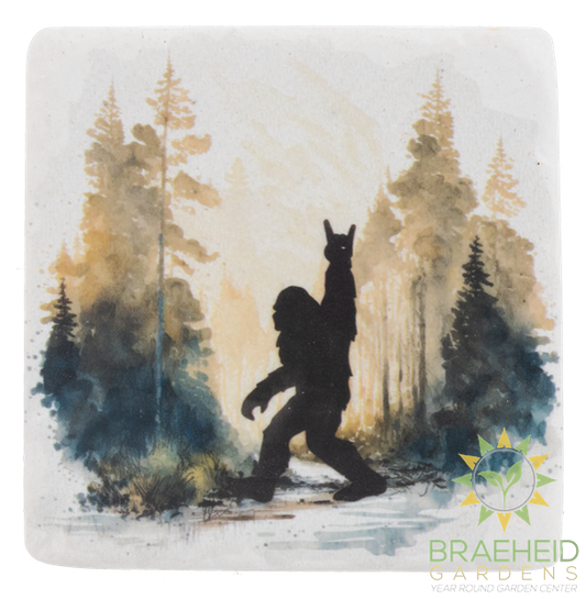 Bigfoot Coaster (4 pc. set)
