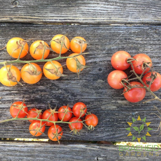 Cherry Tomato Mix