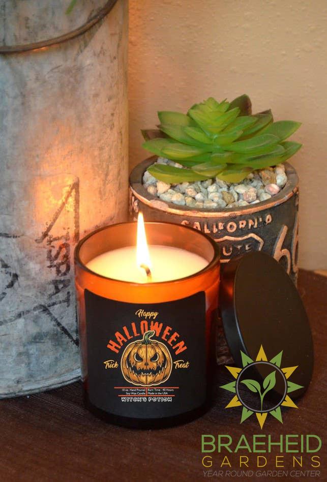 Pumpkin Trick or Treat Halloween Candles - Soy Wax Candle