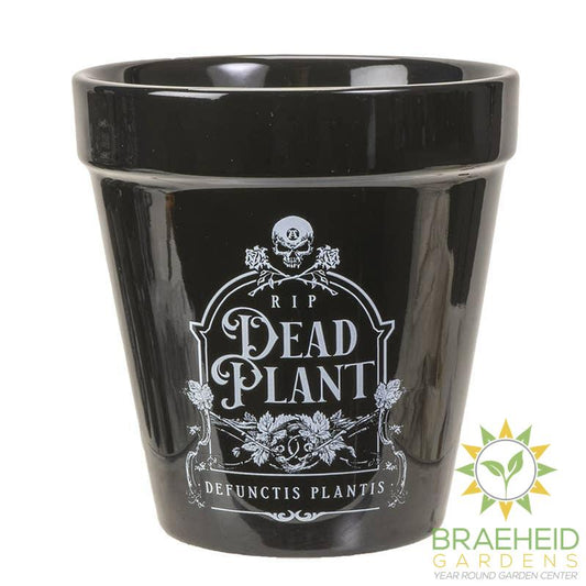 Dead Plant Garden Planter Halloween Decor