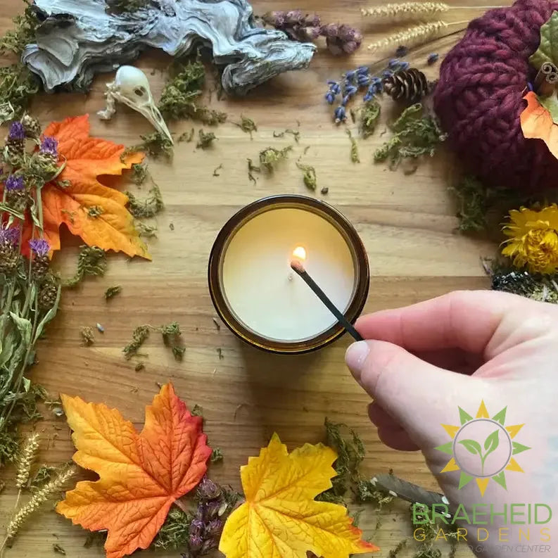 Trick or Treat, 100% soy wax scented candle
