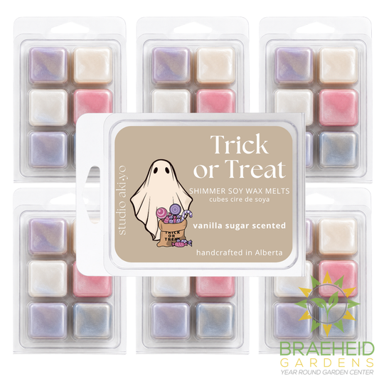 Vanilla Sugar Trick or Treat Halloween Soy Wax Melt | Spooky