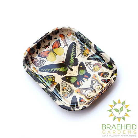 Small Metal Butterfly 1 Tray / Vintage Butterflies Dish