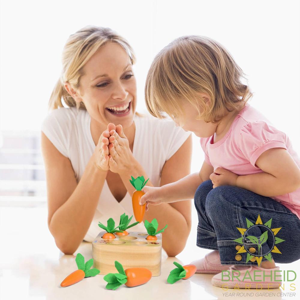 Educational Wooden Toys Carrots Harvest Shape Size Sorting