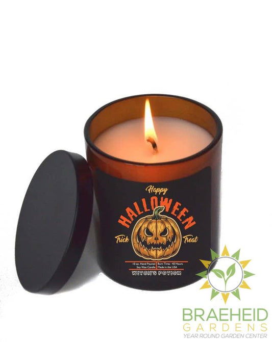 Pumpkin Trick or Treat Halloween Candles - Soy Wax Candle