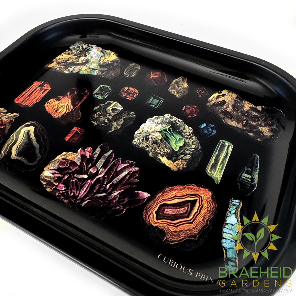 Small Metal Dark Gemstones Crystals Catchall Tray / Geology