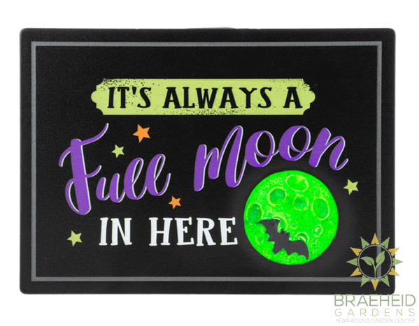 Glow in the Dark Wall Plaques
