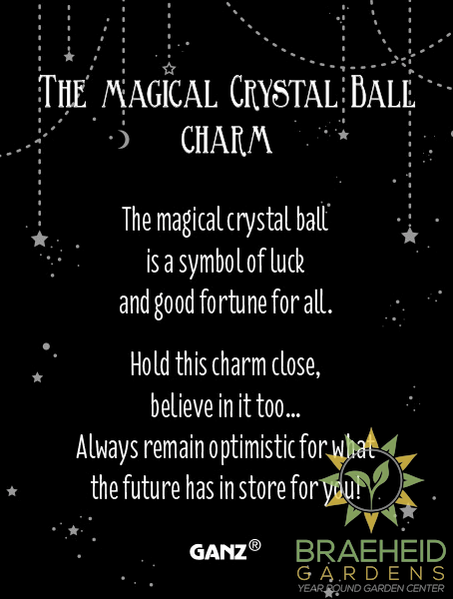 The Magical Crystal Ball Charms