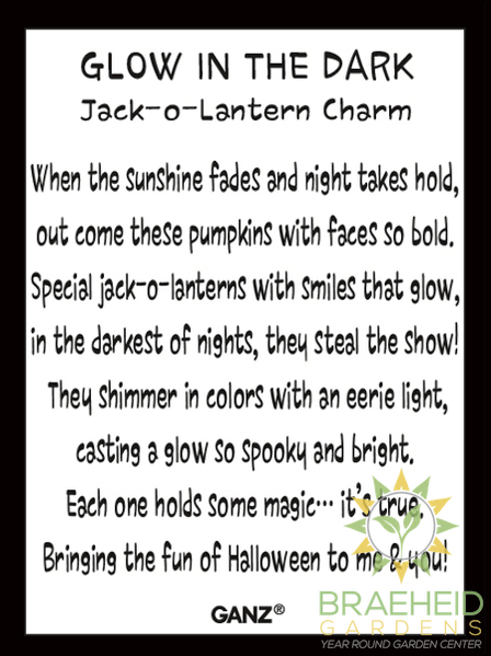 Glow in the Dark Jack-O-Lantern Charms