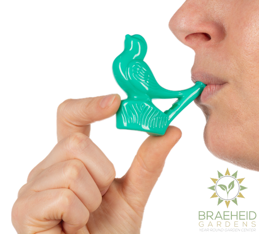 Chirping Bird Water Whistle