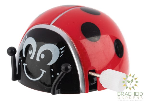Wind Up Ladybugs