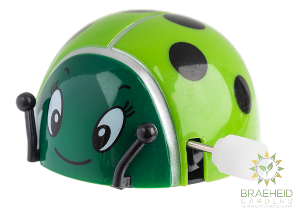 Wind Up Ladybugs