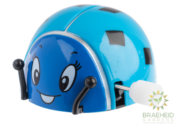 Wind Up Ladybugs